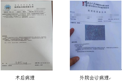 668cf6a0995b6.png