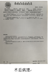 668cf6b9c1f26.png